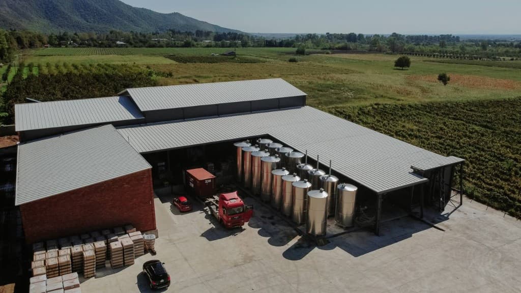Winery and vineyards from above